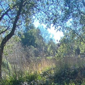 Meet your Posher, Jubert